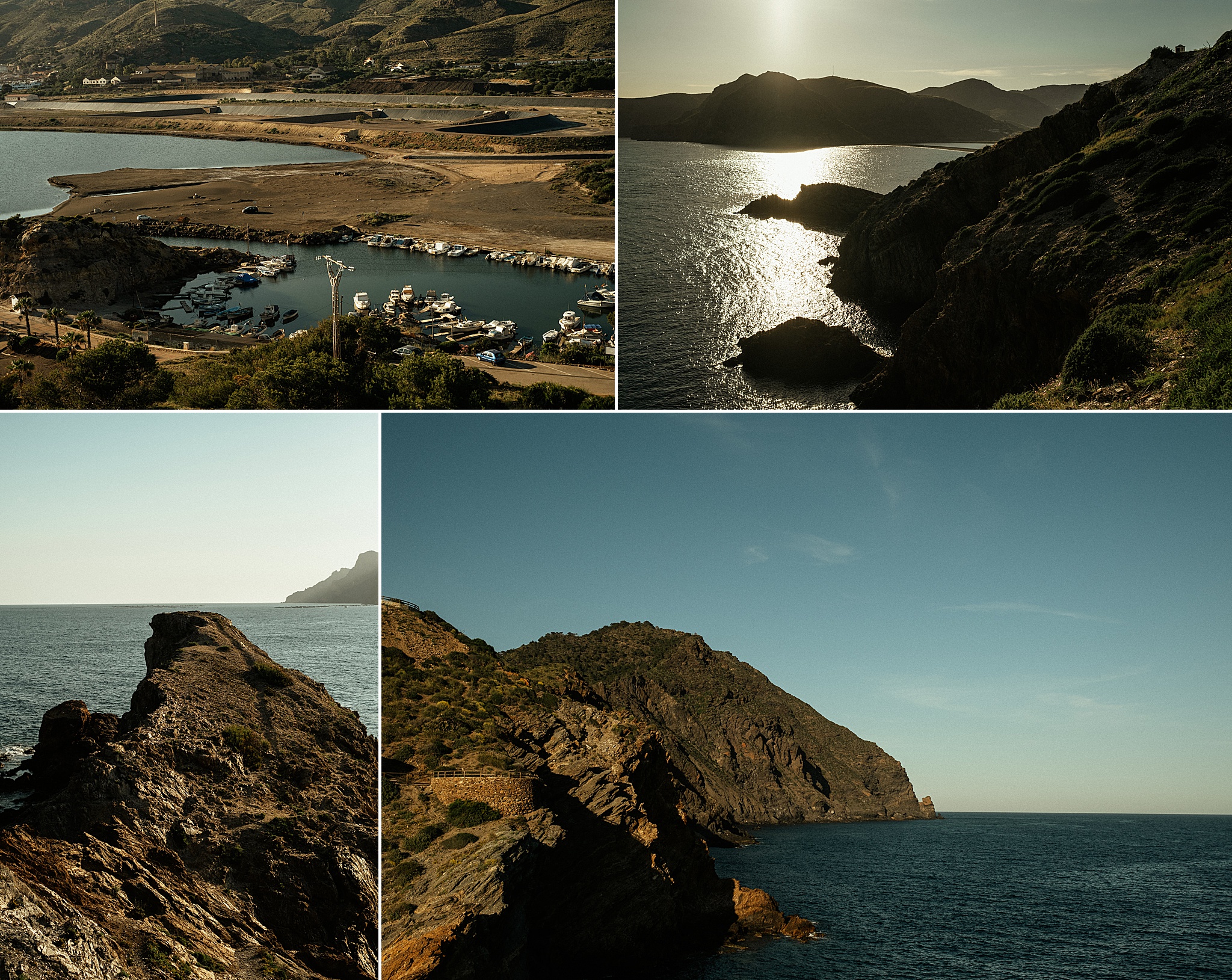 portman murcia